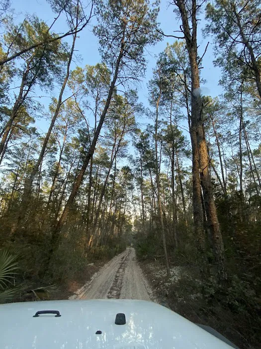 Big Scrub Campground 4