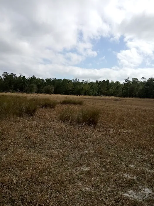 Big Bass Campground 2