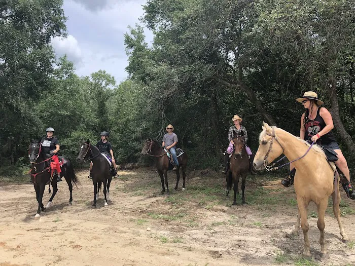 Black Horse Resort Ranch 4