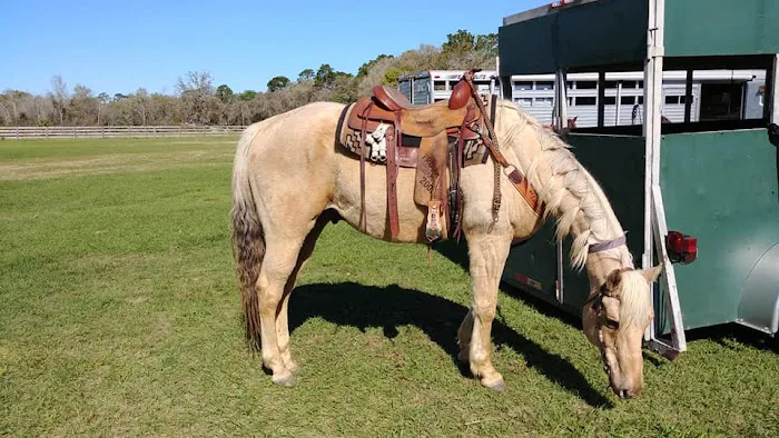 Black Horse Resort Ranch 7