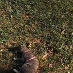 Par 1 Mobile Home Park