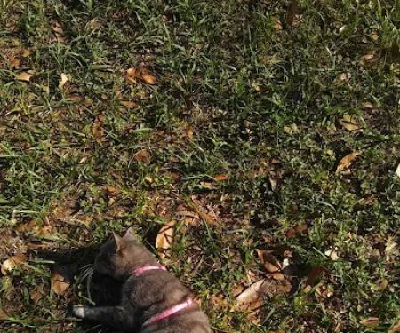 Par 1 Mobile Home Park