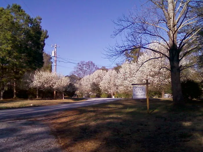 Pine Lakes RV Park 3