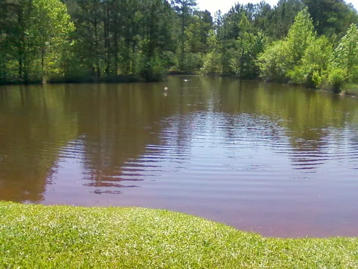 Pine Lakes RV Park 1