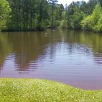 Pine Lakes RV Park