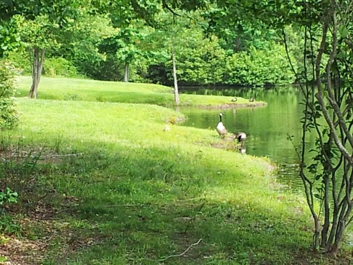 Pine Lakes RV Park 6