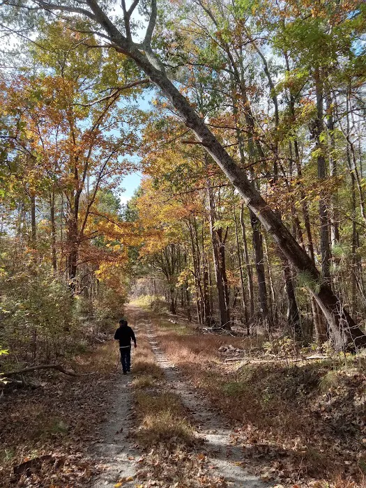 The Farm at Wilkerson Mill Camp 3
