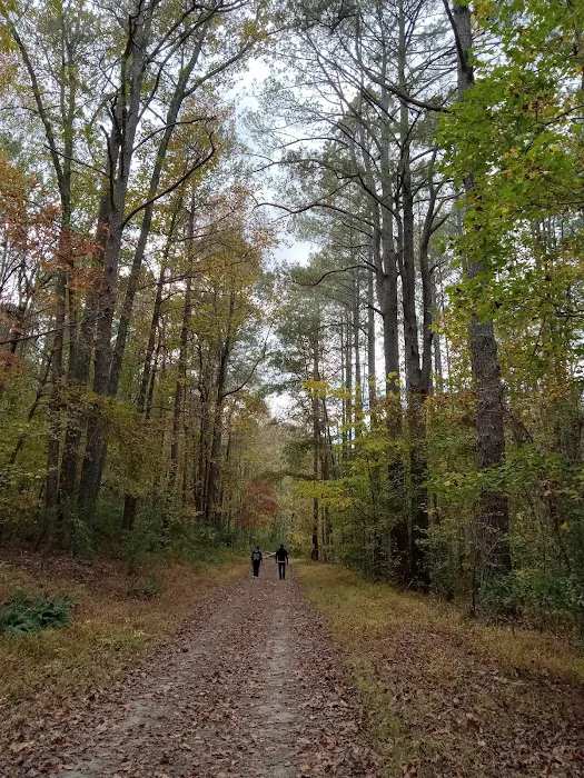 The Farm at Wilkerson Mill Camp 5