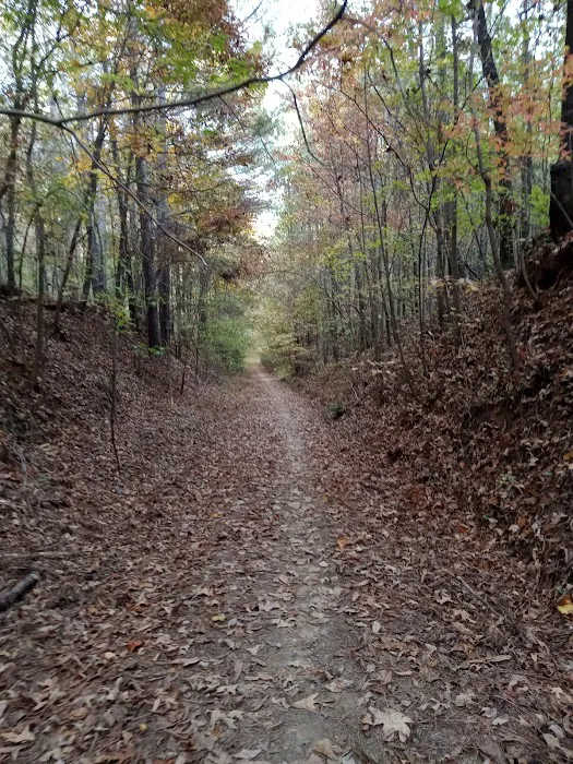 The Farm at Wilkerson Mill Camp 4