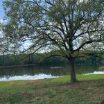 Wimp's RV Park on the Lake