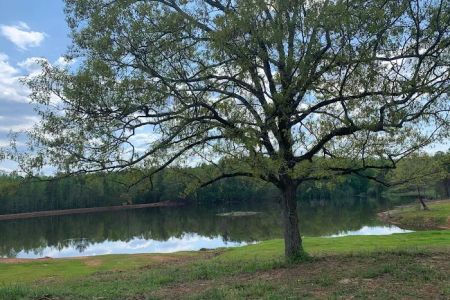 Wimp's RV Park on the Lake