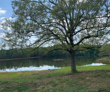 Wimp's RV Park on the Lake