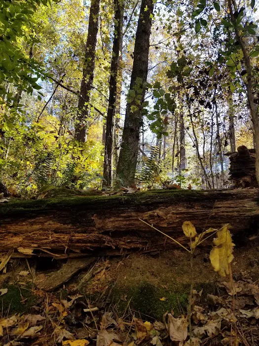 Oconee River Campground 5