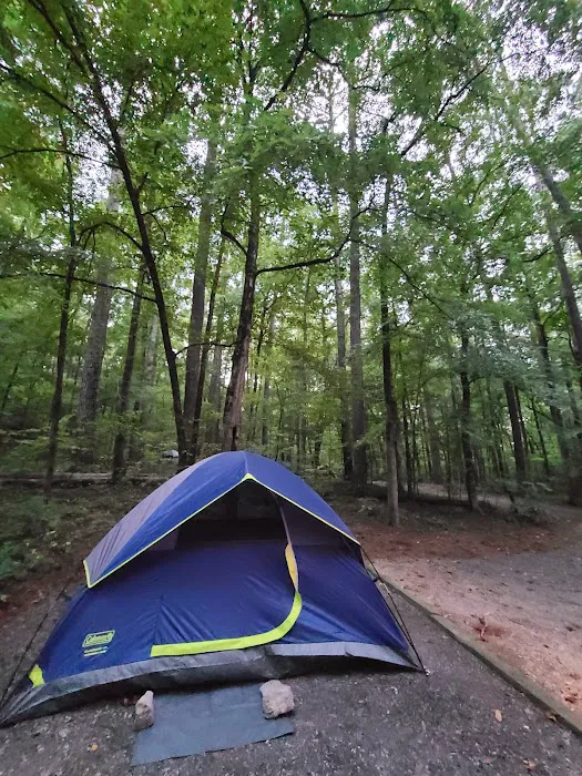 Oconee River Campground 8