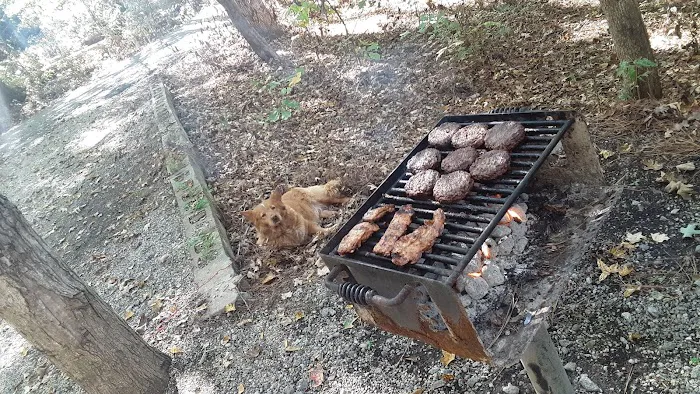 Oconee River Campground 10