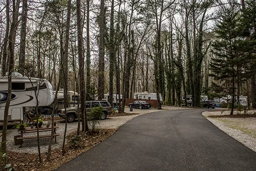 Pine Lake RV Campground 4