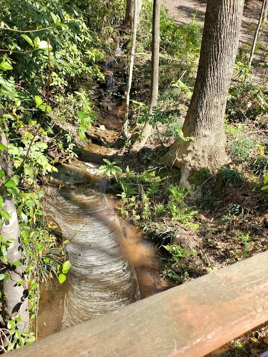 Pine Lake RV Campground 7