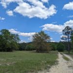 Yamacraw Campground Yuchi WMA