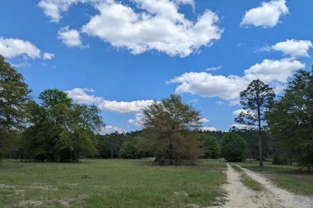 Yamacraw Campground Yuchi WMA