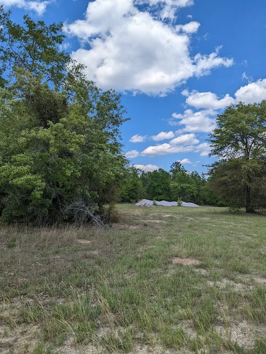 Yamacraw Campground Yuchi WMA 3