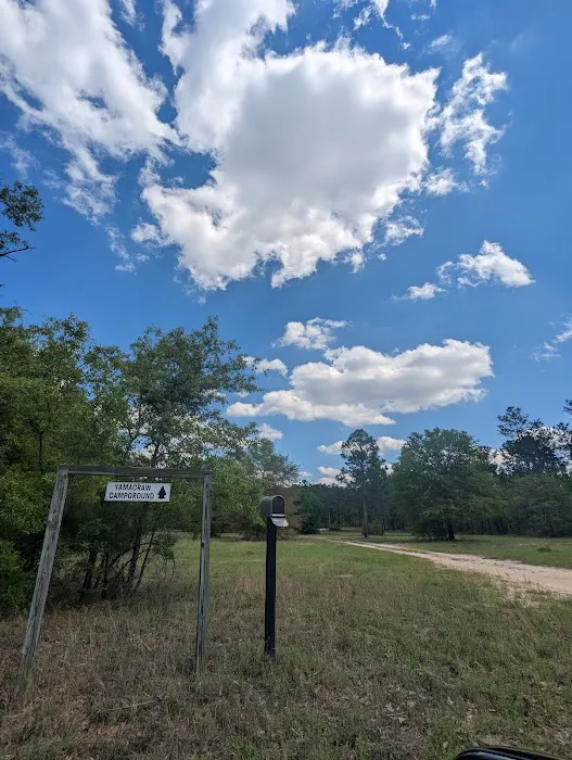 Yamacraw Campground Yuchi WMA 2