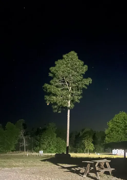 Curt's Campsites RV Park 1