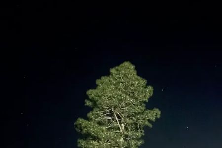 Curt's Campsites RV Park