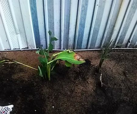 Hillside Mobile Home Park