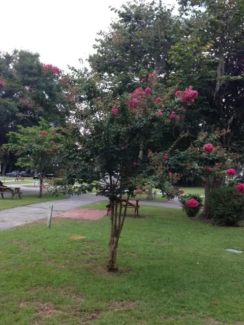 Inland Harbor RV Park 1