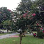 Inland Harbor RV Park