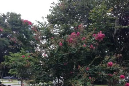 Inland Harbor RV Park