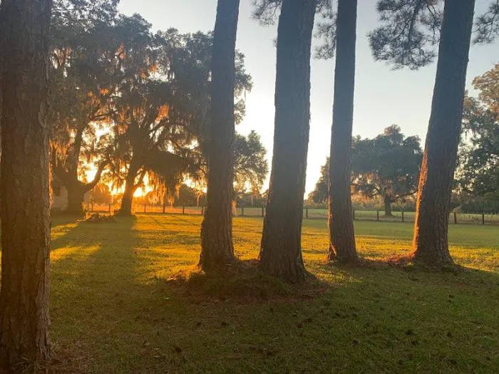 McIntosh Manor RV Park and Retreat 8