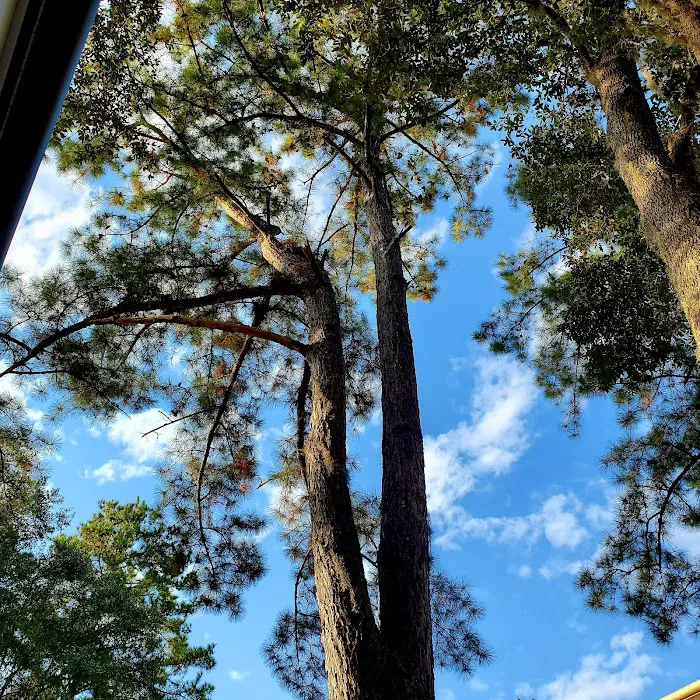 South Newport Campground 9