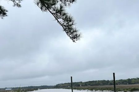 Belle Bluff Island Campground and Marina