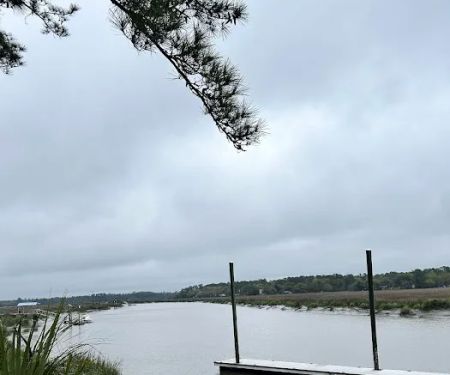 Belle Bluff Island Campground and Marina