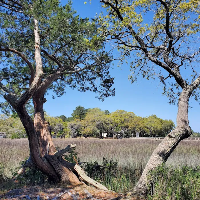 Belle Bluff Island Campground and Marina 5