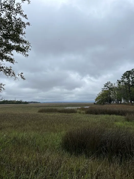 Belle Bluff Island Campground and Marina 7