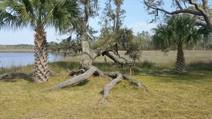 Belle Bluff Island Campground and Marina 10
