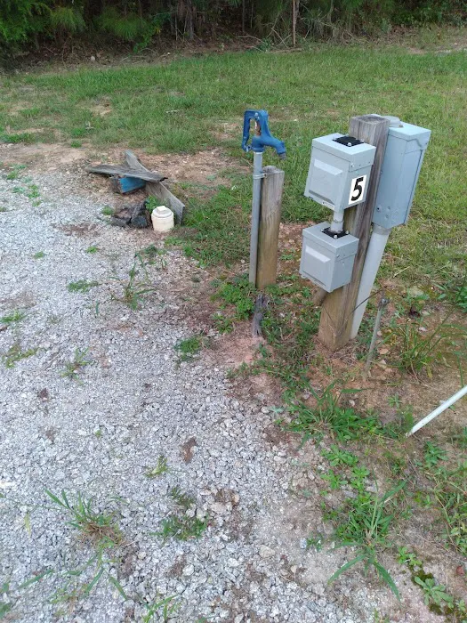 Big K's RV Park Picture 5