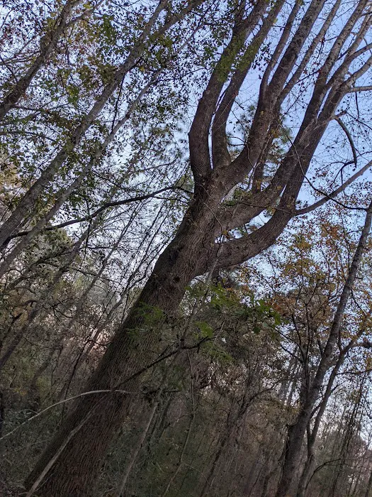 Great Sky RV Park Wedowee LLC 8