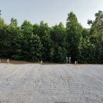 Big Fish at Wedowee RV Park