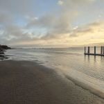 Sea Camp Campground