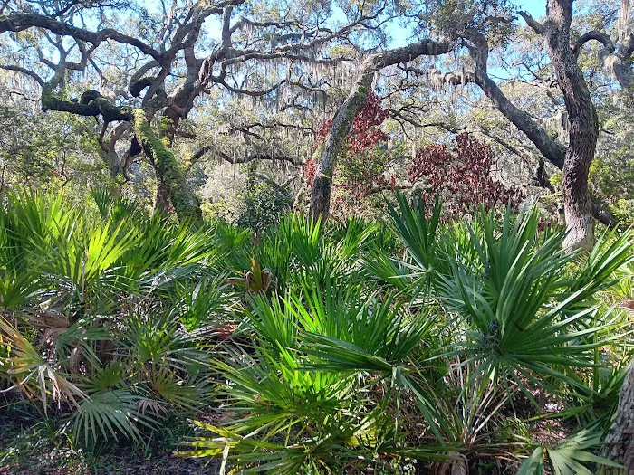 Sea Camp Campground 4