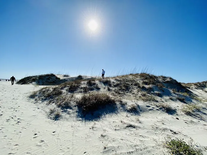 Sea Camp Campground 8