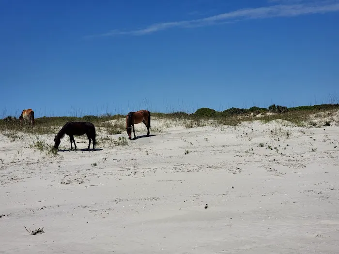 Stafford Beach Campground 3