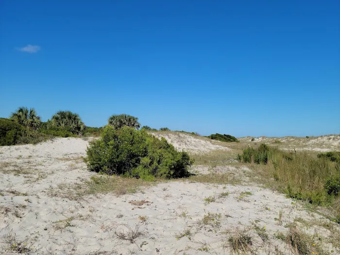 Stafford Beach Campground 4