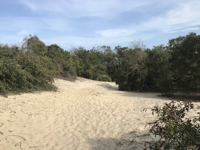 Stafford Beach Campground 7