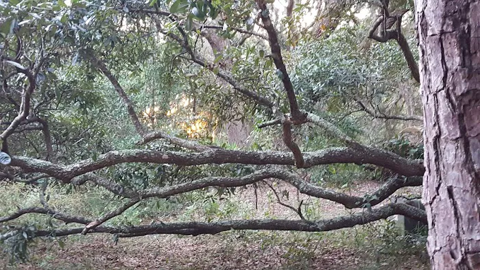 Stafford Beach Campground 10