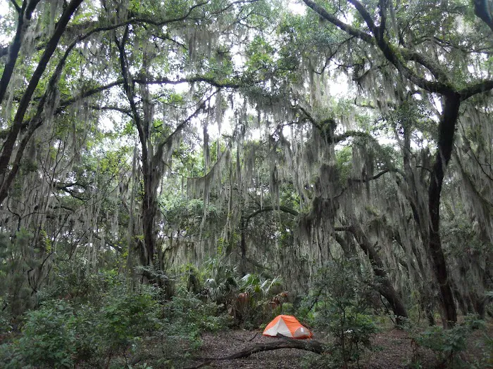 Hickory Hill Campground 1