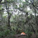 Hickory Hill Campground